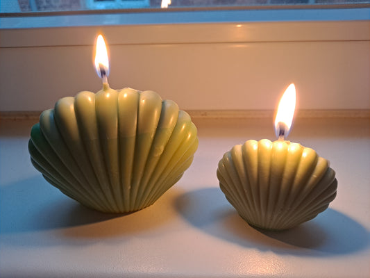 Velas de citronela en forma de concha marina encendidas